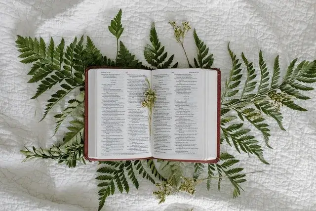 An open Bible laid on top of garland leaves on a cloth